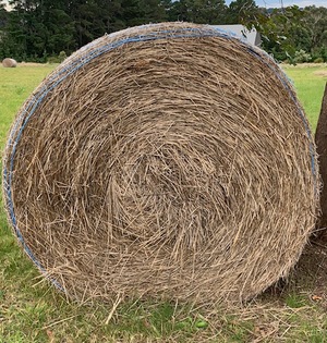 38 X 4ft Round Pasture Bales
