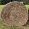 38 X 4ft Round Pasture Bales