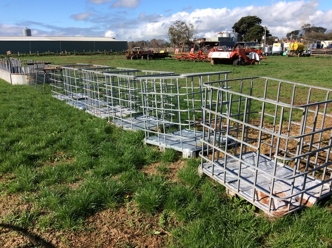 Calf or Sheep Crates