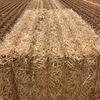 Barley Straw 500kg 8x4x3 Bales 'New Seasons'