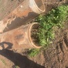Under Auction - 2x Colvert/Bridge Crossing Pipes 