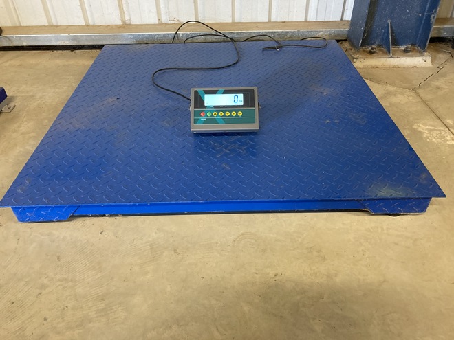 Under Auction - Brand New Platform Scales - 2% + GST Buyers Premium On All Lots 