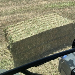 41 x Clover Hay 684kg 8x4x3 Bales 