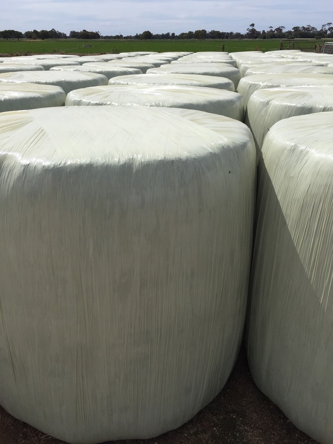 Prime Lucerne Silage