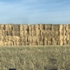 650mt Oaten Hay 500kg 8x4x3 Bales