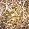 Wheaten Straw