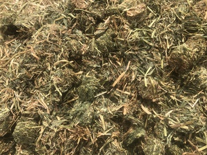 2 x Double Loads of A1 Vetch Hay