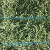 Under Auction - 97 Big Squares Lucerne 8x4x3 - excellent quality - SOLD BY THE BALE - Approximately 100 Bales 