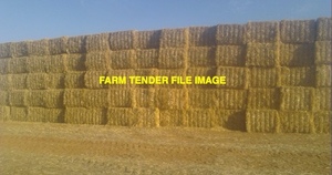 1500mt Wheaten Straw 8x4x3 Bales