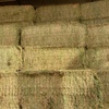 200mt New Season Vetch Hay 8x4x3 Bales (Top Quality)