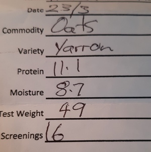 Feed oats -  approx. 26 tonnes