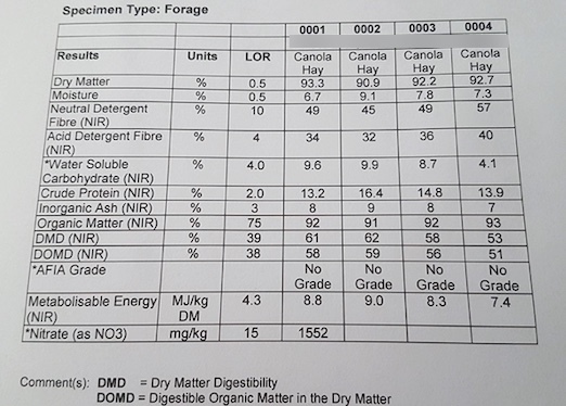 300mt Canola Hay 590kg 8x4x3 Bales + Freight