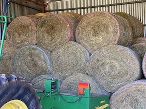 46 x Lucerne Round bales 