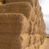 Header Trail Barley For Sale 