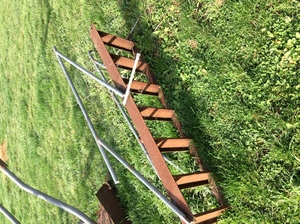 Ladder and Calf Headstall