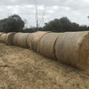 20 x hay rounds