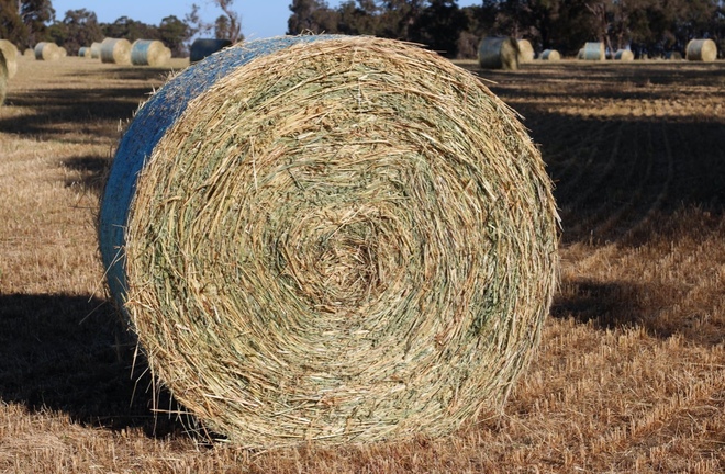 500 x Oaten Rye Hay 5x4 Round Bales