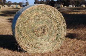 500 x Oaten Rye Hay 5x4 Round Bales