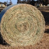 500 x Oaten Rye Hay 5x4 Round Bales