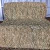 Canola Hay 1 B Double Load AVAILABLE NOW