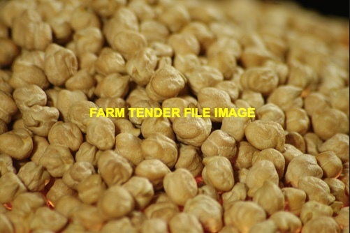 Kabuli Chickpeas