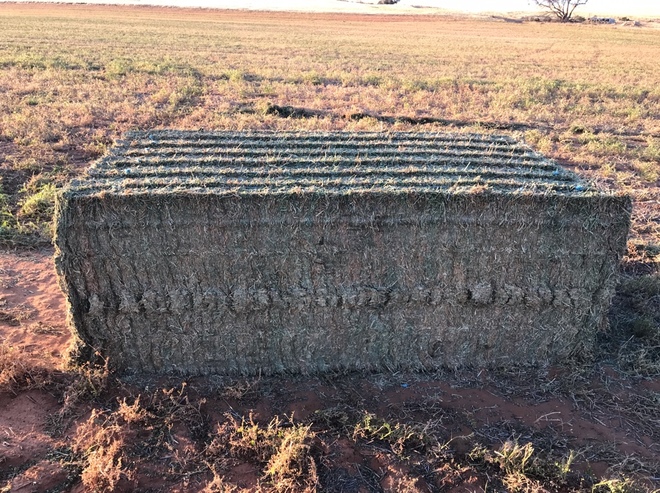 200mt Vetch Hay 'New Season' 750kg ave 8x4x3 Bales ex paddock