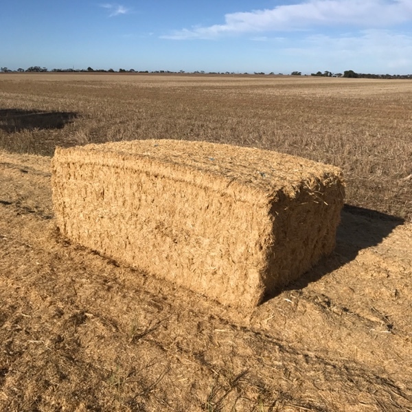Chaff Bales