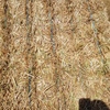 200mt Oaten Hay 550-600kg 8x4x3 Bales 