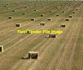 Oaten Hay 8x4x3 Bales