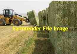 Wanted 300 m/t of Organic Hay/ Straw 