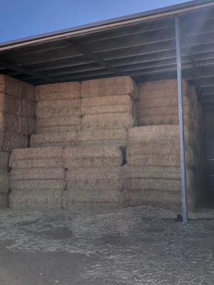 430m/t Wheaten Hay 8x4x3 Bales 800 Kg's
