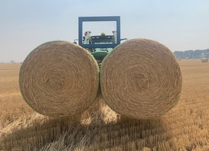 Wheaten Straw 5x4 Rolls