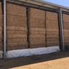 Vetch Hay 8x4x3  Bales