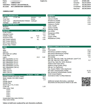 600mt+ Canola Hay 660kg 8x4x3 Bales