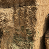 Lucerne Hay Large squares (Shedded)