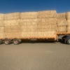 1000mt Wheaten Straw 8x4x3 Bales