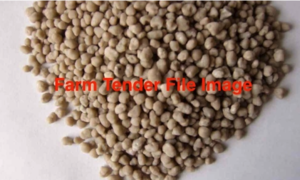 MAP - SPECIAL PRICE - TODAY ONLY 