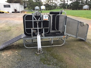 Gallagher crutch & dag