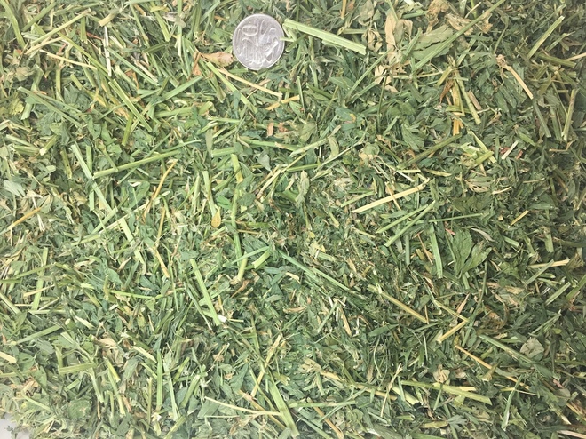 Lucerne Hay - Organic In-Conversion