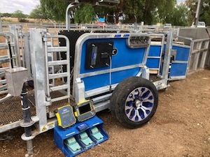 2018 Clipex Sheep Handler Contractor Model Including Trutest XR5000 Indicator, Trutest XRP2 Panel Reader, and accessories
