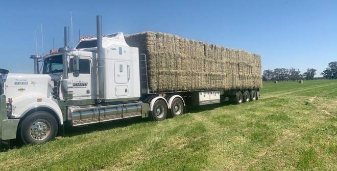 Premium Quality Irrigated Hay