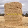 Under Auction - 250 -  8x4x3 Bales of Wheaten Straw, Header Trailed 480+ Kg's - Sold By The Ton -