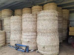4 x 4 Sorghum Round bales 