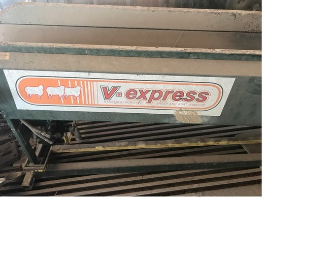 V Express Sheep & Goat Handler