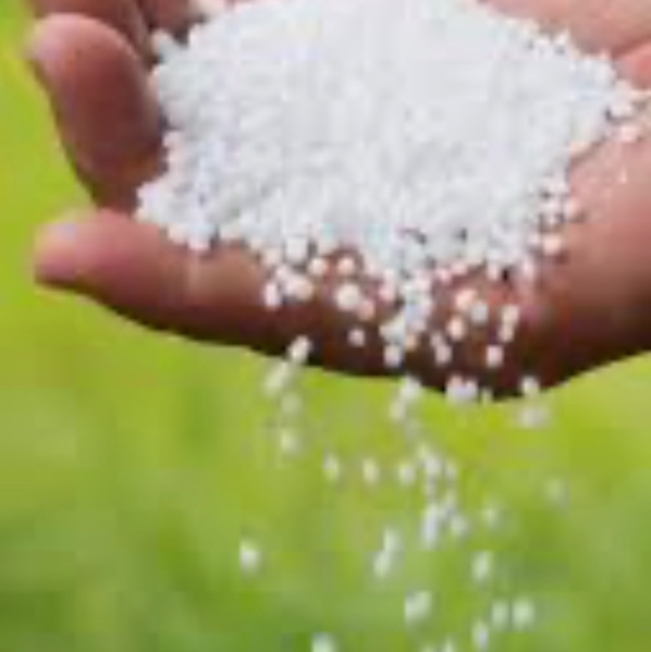 urea for sale