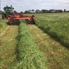 Sub Clover & Rye hay for sale.