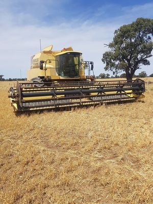 New Holland TX66 with Honeybee Front 