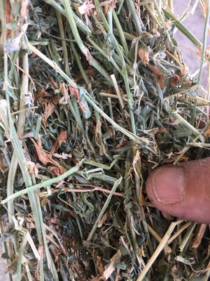 Lucerne Hay B Double or RoadTrain Loads . Freight available if required