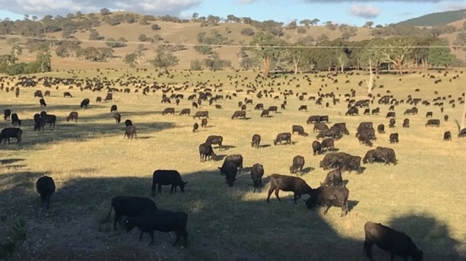 LEASE WANTED - GRAZING