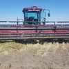 Case WDX 1701 Windrower with 30' Front on Comb Trailer